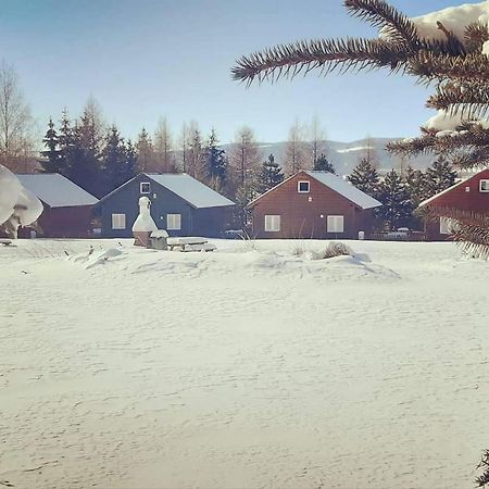 Stanica Pod Zadzierna Domki Caloroczne Lubawka Exteriör bild
