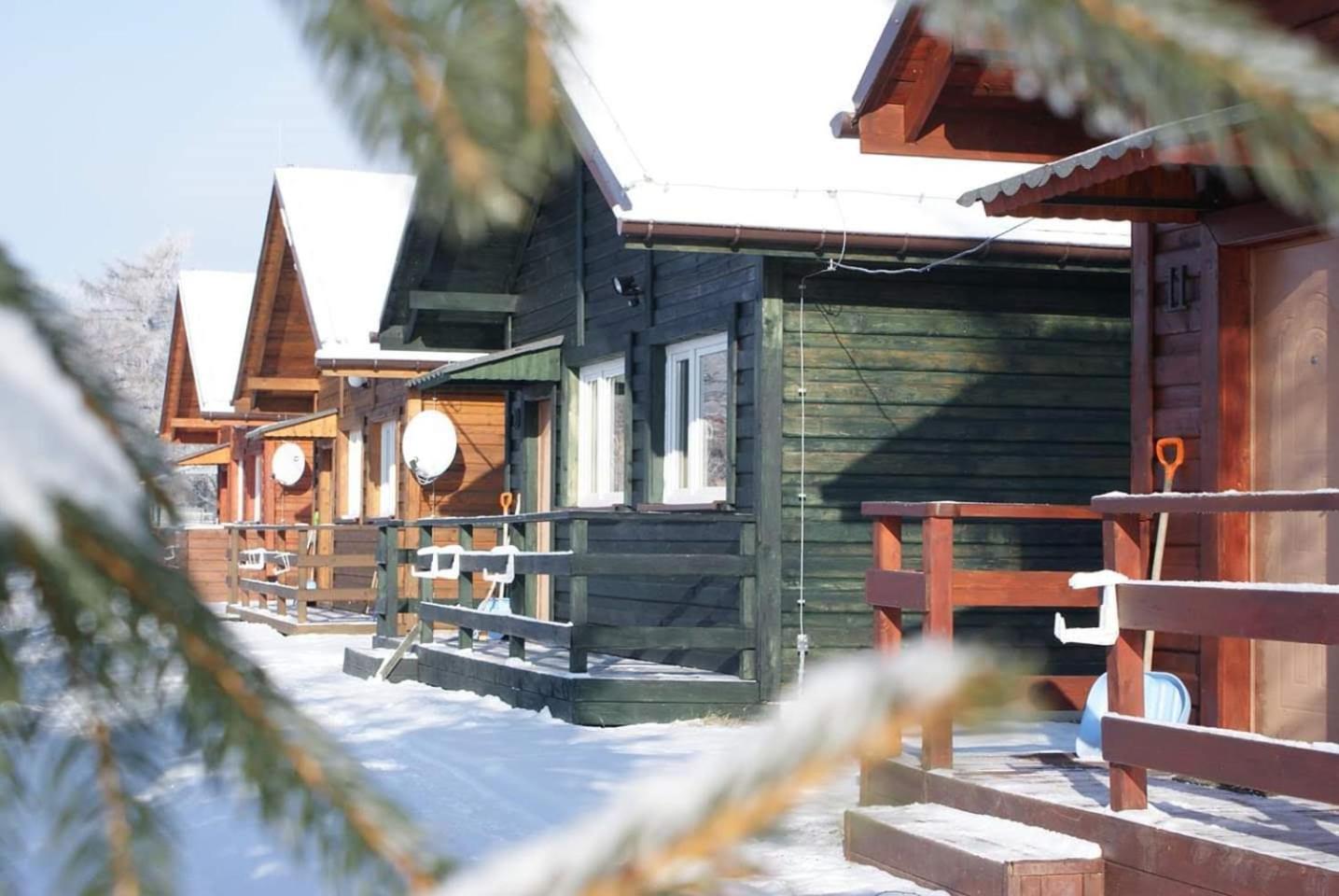 Stanica Pod Zadzierna Domki Caloroczne Lubawka Exteriör bild